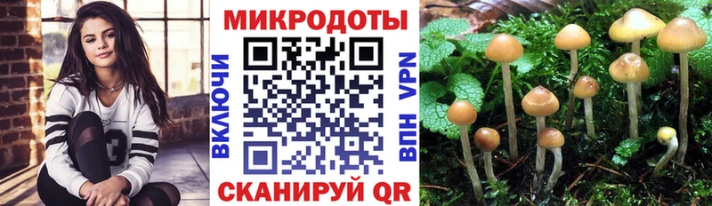где найти наркотики  Балтийск  Псилоцибиновые грибы ЛСД 