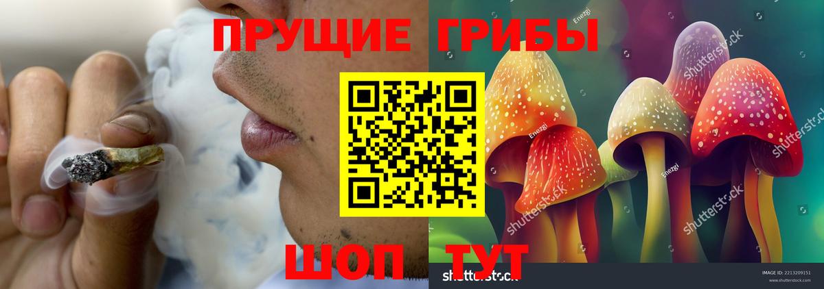 Галлюциногенные грибы прущие грибы Балтийск